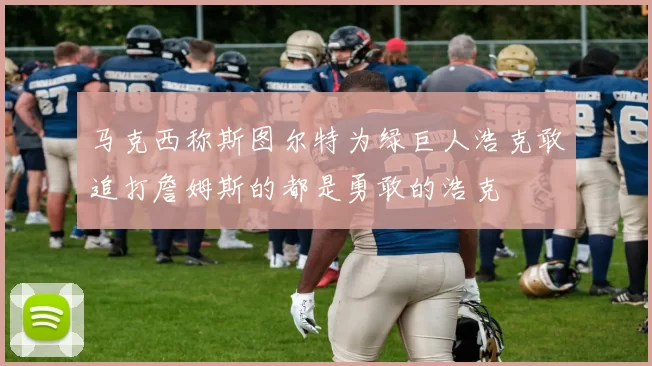 马克西称斯图尔特为绿巨人浩克敢追打詹姆斯的都是勇敢的浩克